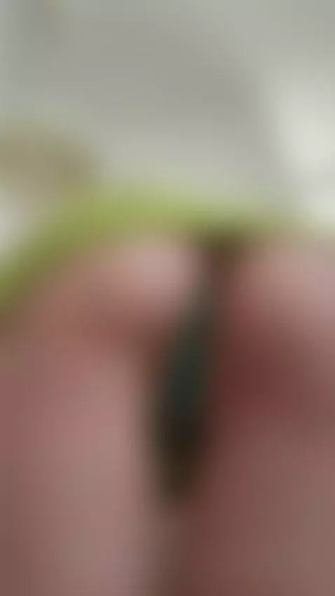 Wanna see what I'm wearing under here? Unlock full on OnlyFa... by julcypeach