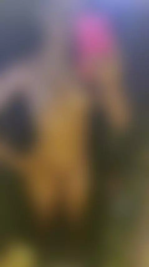 Video by marcela2412