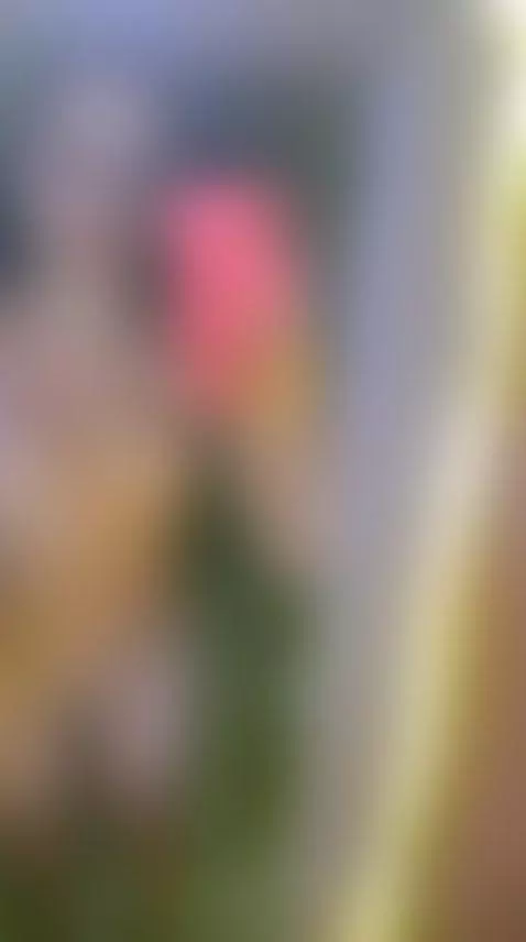 Video by marcela2412