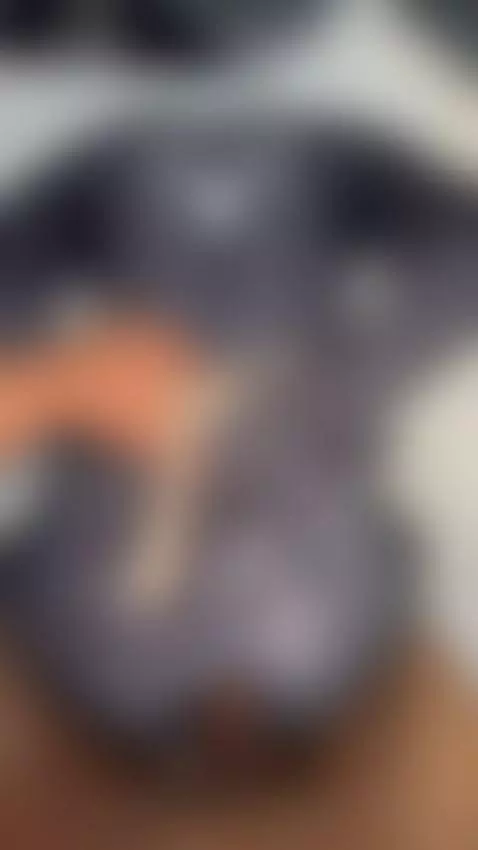 un sumiso rico 😈
video completo telegram vip by choco23cm