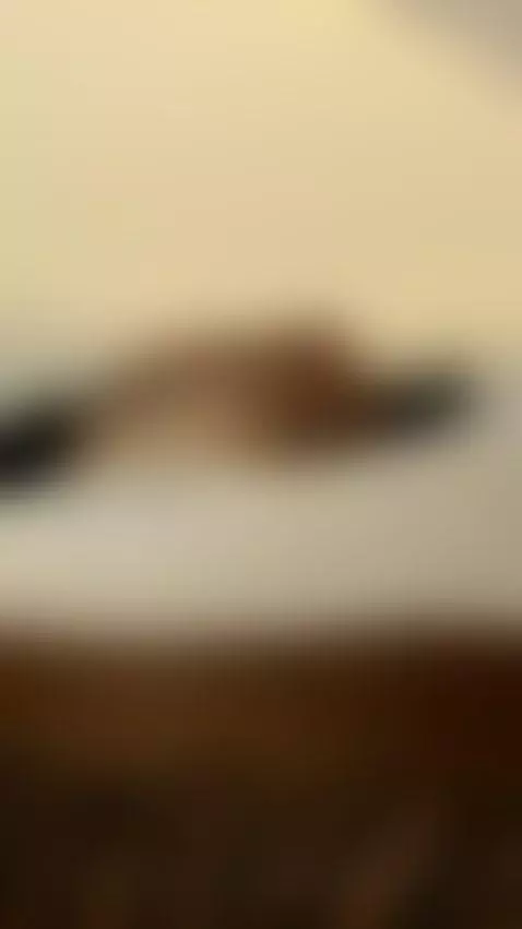 💦 Watch this busty brunette tease you 🔥 by katalinamorel