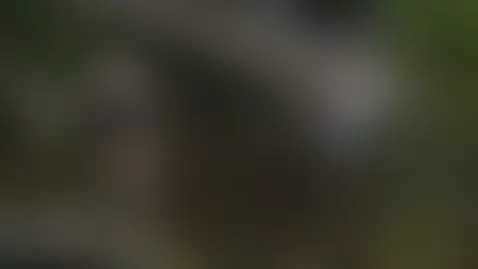 There's a new video coming to my profile!
Follow me—my accou... by jhocydixx