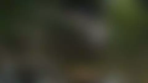 There's a new video coming to my profile!
Follow me—my accou... by jhocydixx