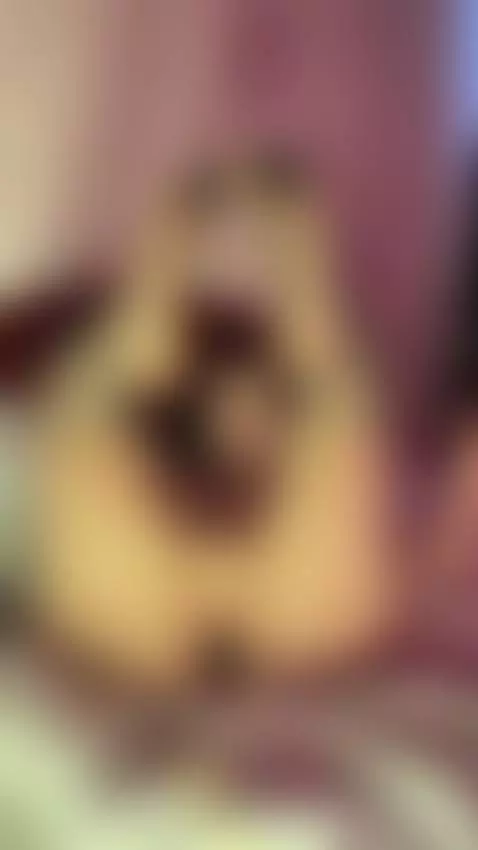 My virgin pussy is so wet—I want you so badly, more than on ... by avablakex