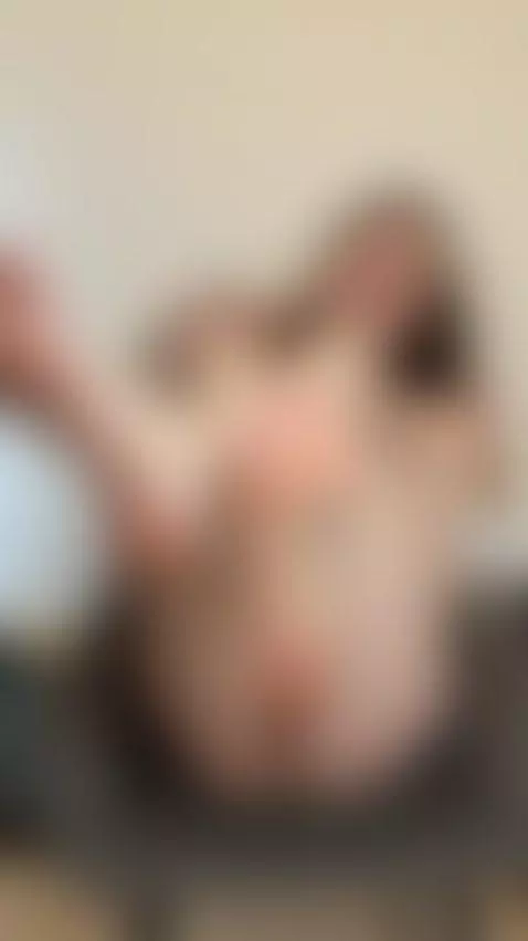 💋This curvy brunette is so wet and desperate 💦 Exclusive OF by miarosellee