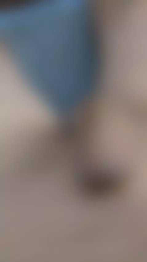 Video by dany82sex