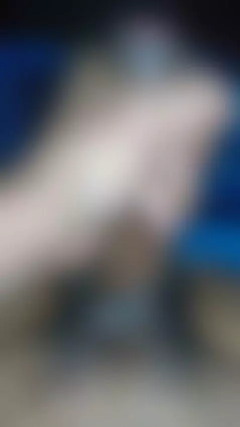 I shook my thick DICK with my hands and released all the cum... by bitop8inch