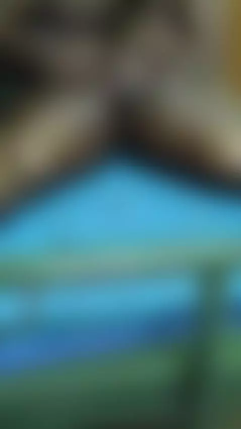 Video by shopanan