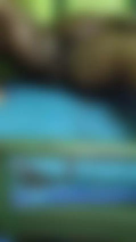 Video by shopanan