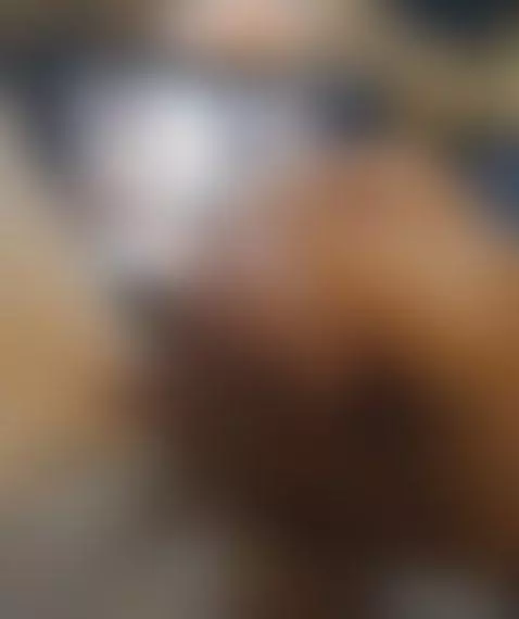 cum baby cum by jimmy92x