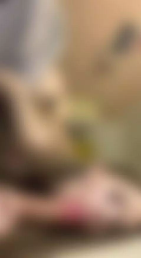 perfect ass dripping riding cock tight pussy  Link in OF by evaevaaa