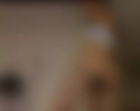 🔞 big boobs wild slut squirting shaved pussy nude 🍑💦 OF by evaevaaa