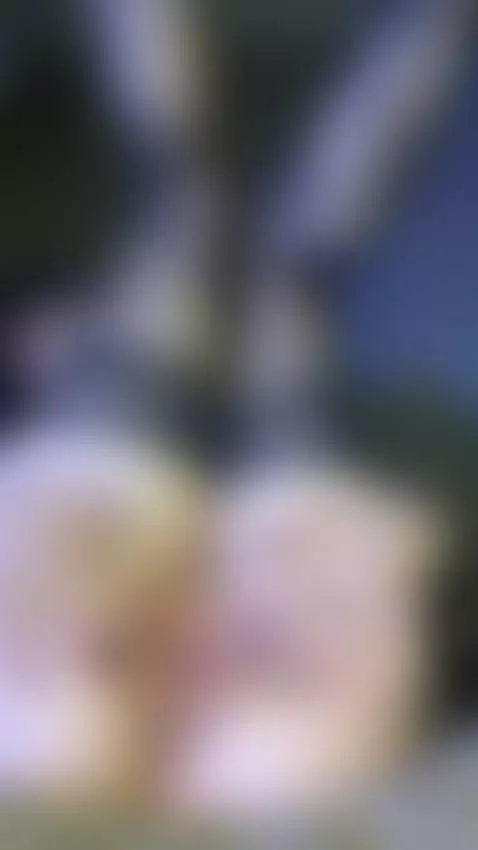 Pussy was already dripping wet. Sub OF by arlimoon