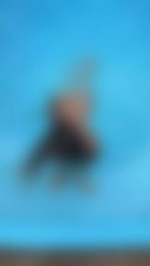 quieres venir al agua conmigo? onlyfans.com/Marfe_okkk
insta... by marfeokk