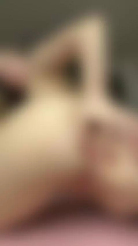 BBY^Come get more on OF💋
https://onlyfans.com/flora_bliss/tr... by flora-cute