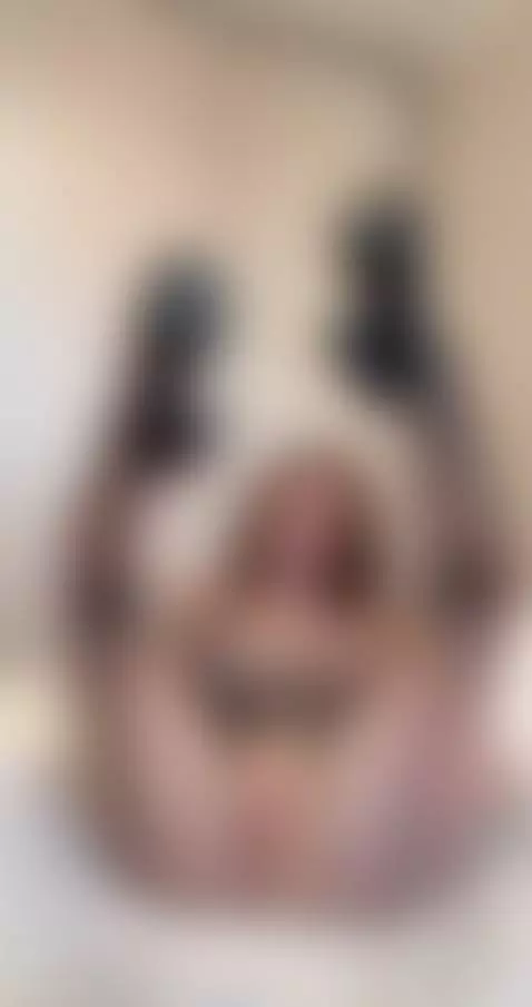 I spread my thighs wide 🍑 Onlyfans by babyyviolettt
