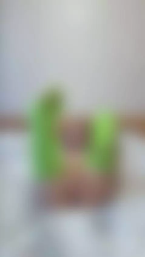 Legs raised high in neon green stockings with thong pulled a... by babyyviolettt