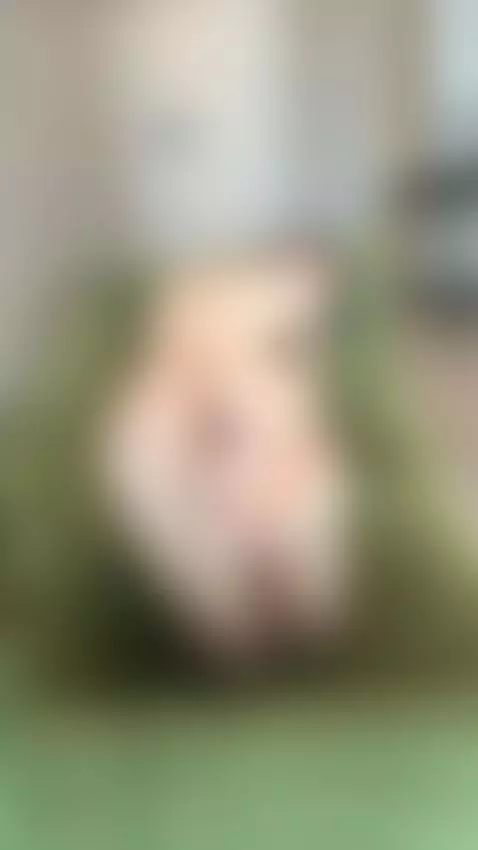 🔞 dirty small tits sucking dick wet dripping cum 🫦💦 My OF by amaliaromance