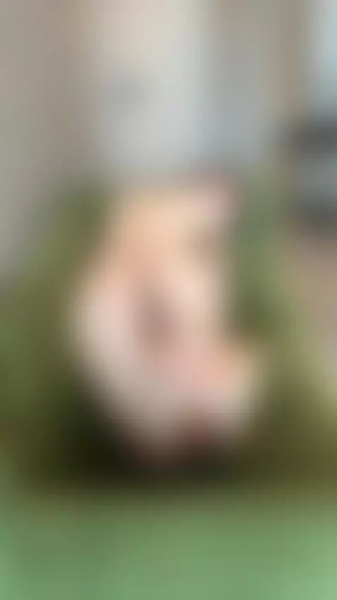 🔞 horny round ass blowjob horny wet naked 💦🫦 Full on OF by amaliaromance