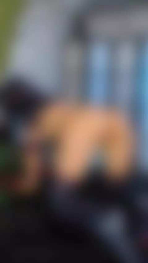 Stroke my pussy till I get wet and make me cum by amanemisa