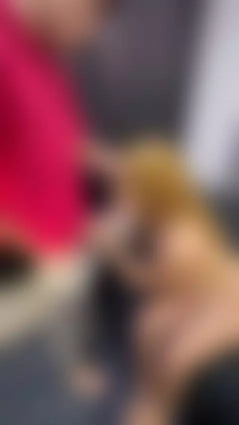 SUCK COCK HOT LAURA🥵🍆, LIVE OPEN IN CB🔥 by littlerapunsel