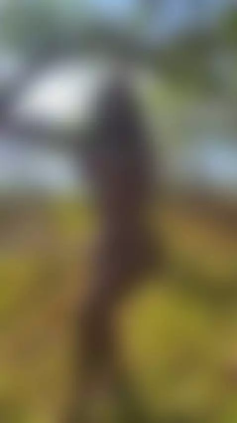 bigass, bigtits, outside by tsjoanneeyes