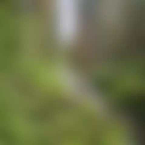 Video by testtime