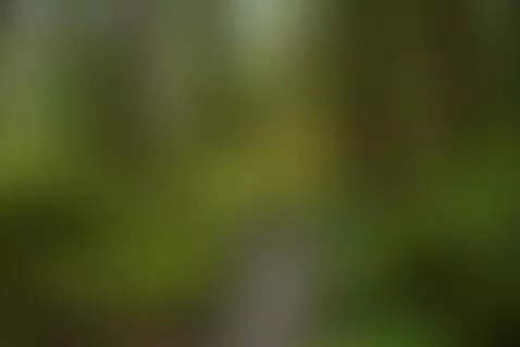 Video by testtime