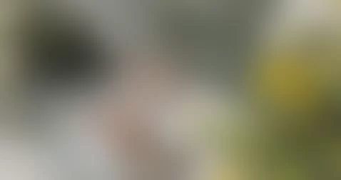 Test test by testtime