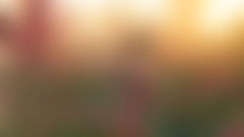 new post for everyone by testtime