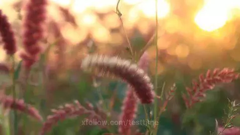 new post for everyone by testtime