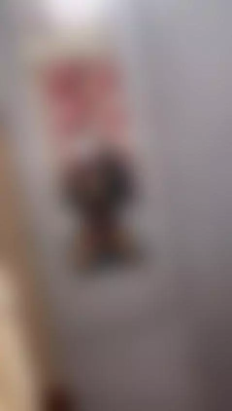 Fuck my big boobs now 🍒 by valentinarivas