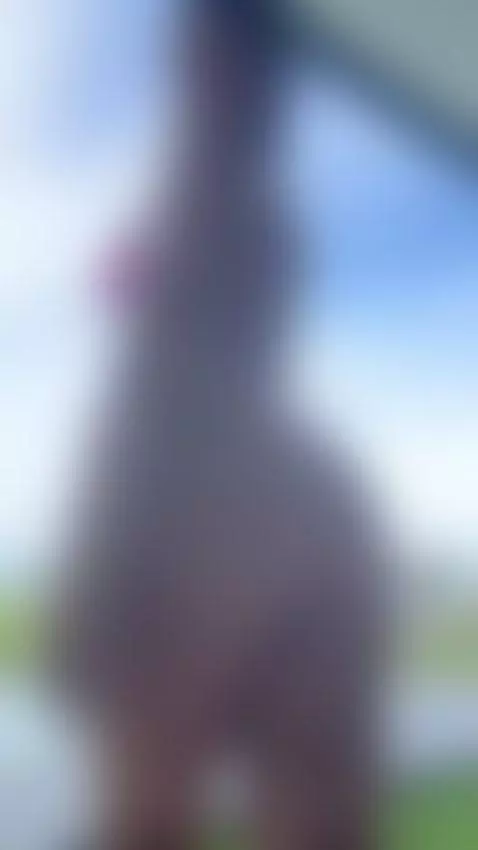 🎀 by katanakombat