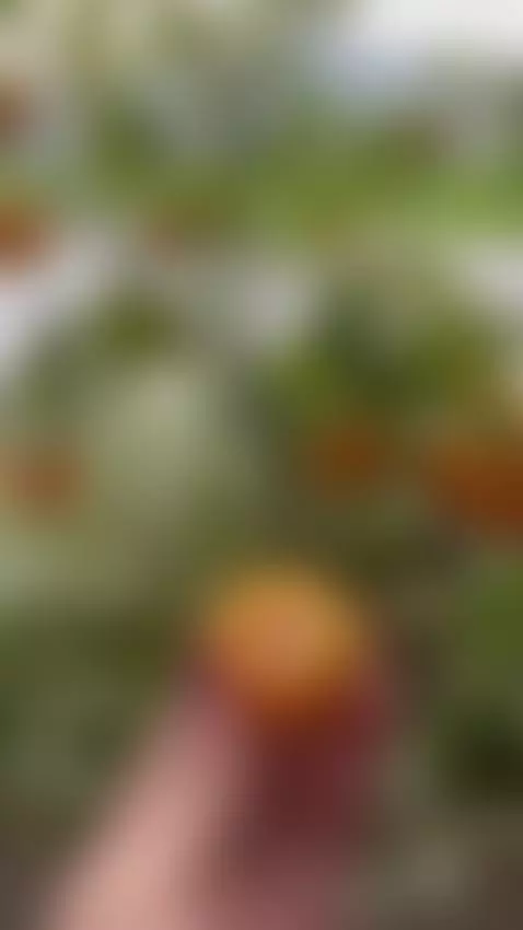 a day in medellin colombia by katanakombat