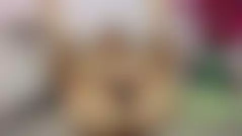 ♥♥ONLINE♥♥ by kirasky