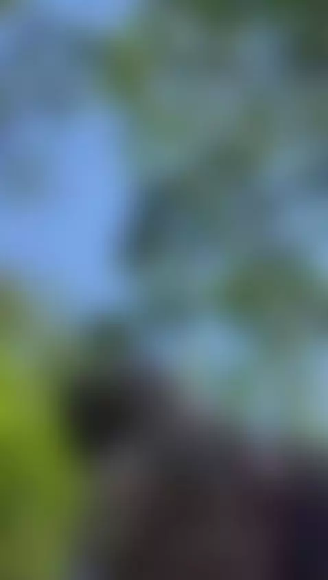 🍑 by karleejohnson