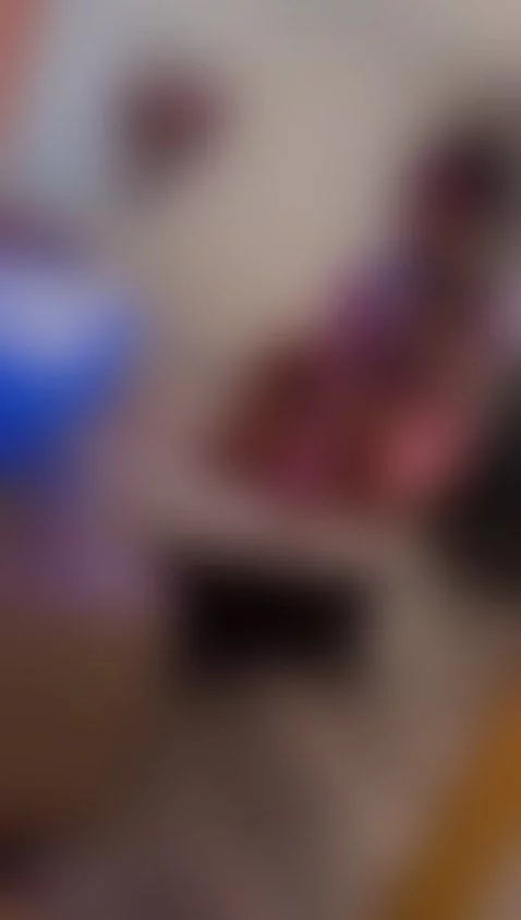 Dirty Day by marianacastro