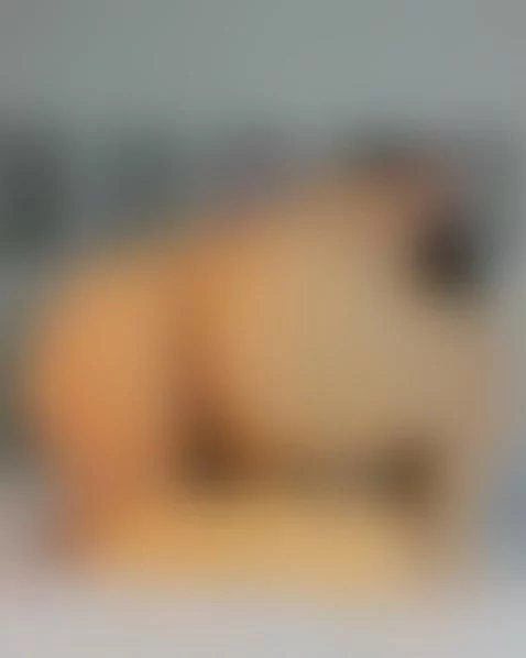 ridingdildo, pov, nfsw by loribauer