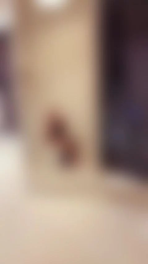 Ready for fun by mollycavalli