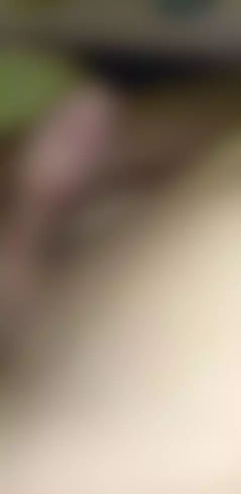 wouldnt it be nice with oil?? by nymphosure