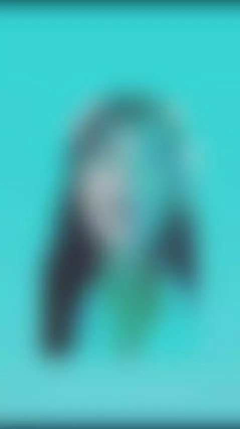 Come let me pamper you while your cock explodes in my face!!... by naomiilee