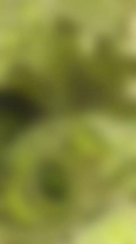 Video by ditoseven