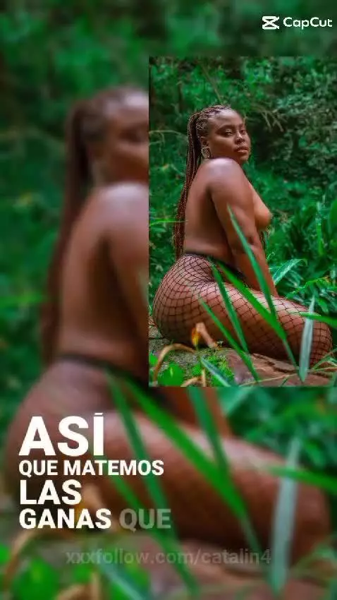 don't miss my broadcasts by catalin4