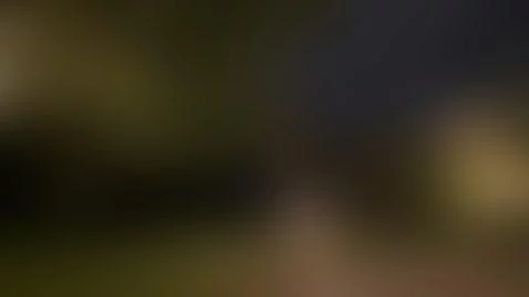 Christmas has arrived at the Loves 🎄🎄 by brandi-love