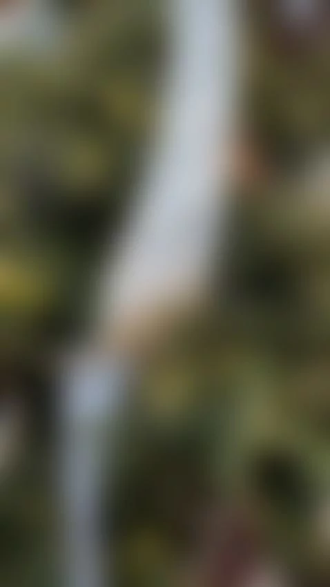 Are you in the holiday Spirit yet? I know I am by brandi-love