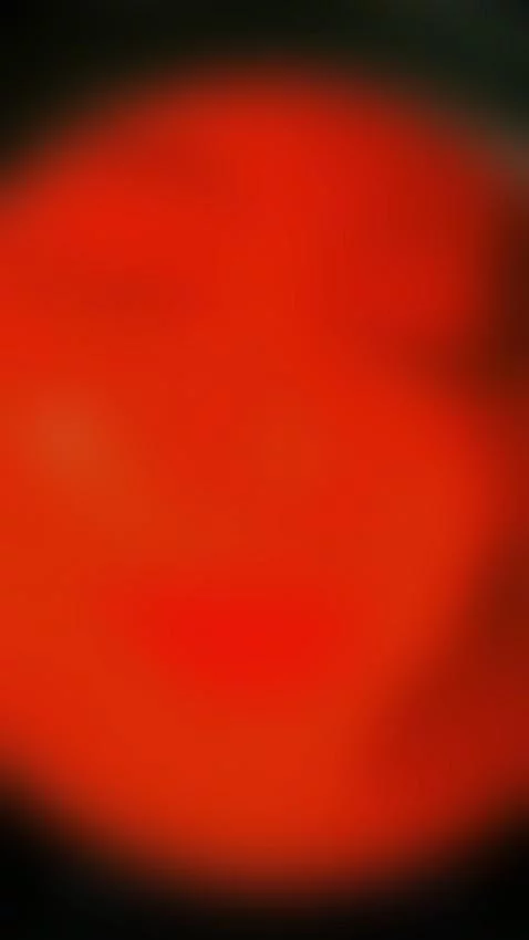 have a nice day guys 🥰💕 by kateryncifuentes