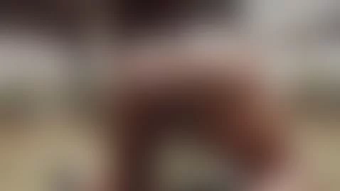 SHAKING MY ASS 🍑🍑 by laquishax