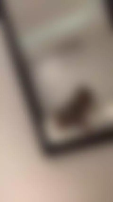 oh before sex 🤭 by calliekaufman